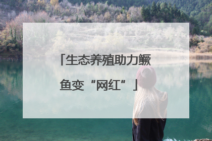 生态养殖助力鳜鱼变“网红”