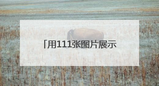 用111张图片展示国际友城往来成就