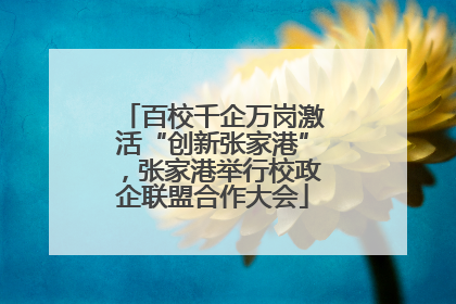 百校千企万岗激活“创新张家港”，张家港举行校政企联盟合作大会