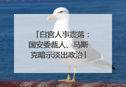 白宫人事震荡：国安委裁人、马斯克暗示淡出政治