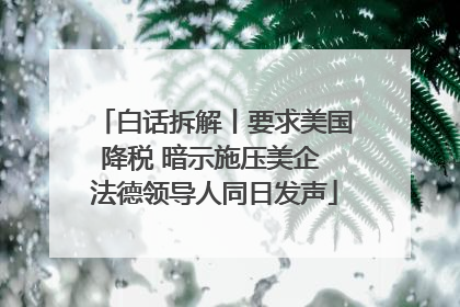 白话拆解丨要求美国降税 暗示施压美企 法德领导人同日发声