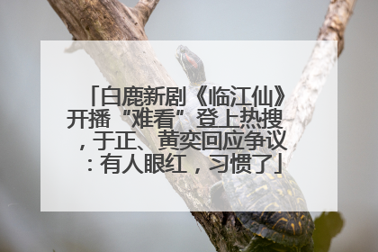白鹿新剧《临江仙》开播“难看”登上热搜，于正、黄奕回应争议：有人眼红，习惯了