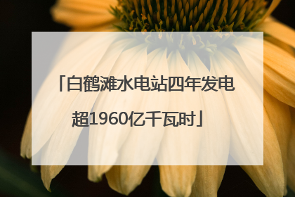 白鹤滩水电站四年发电超1960亿千瓦时