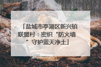 盐城市亭湖区新兴镇联盟村：密织“防火墙”守护蓝天净土