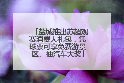 盐城推出苏超观赛消费大礼包，凭球票可享免费游景区、抽汽车大奖