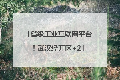 省级工业互联网平台！武汉经开区+2