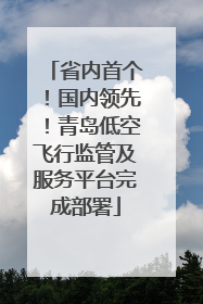 省内首个！国内领先！青岛低空飞行监管及服务平台完成部署