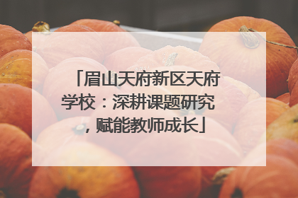 眉山天府新区天府学校：深耕课题研究，赋能教师成长