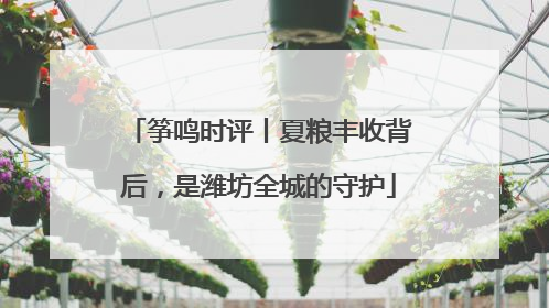 筝鸣时评丨夏粮丰收背后，是潍坊全城的守护