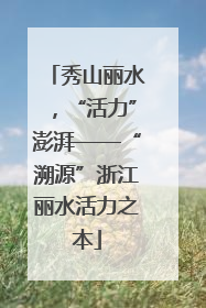 秀山丽水，“活力”澎湃——“溯源”浙江丽水活力之本