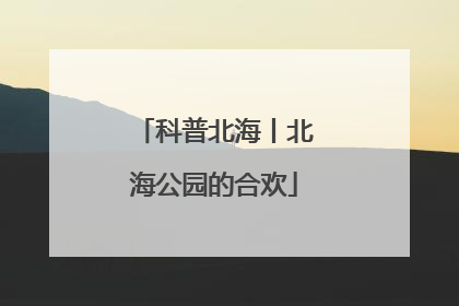 科普北海丨北海公园的合欢