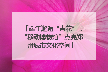 端午邂逅“青花”，“移动博物馆”点亮郑州城市文化空间