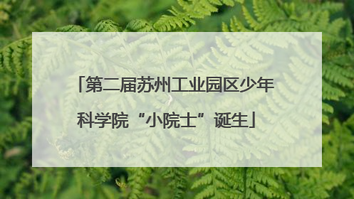 第二届苏州工业园区少年科学院“小院士”诞生