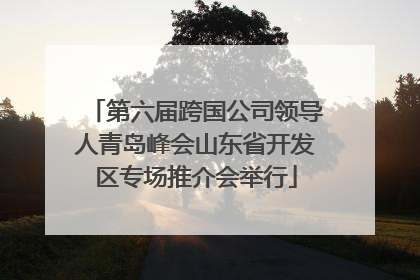 第六届跨国公司领导人青岛峰会山东省开发区专场推介会举行