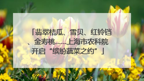 翡翠桔瓜、雪贝、红铃铛、金寿桃……上海市农科院开启“缤纷蔬菜之约”