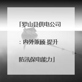 罗山县供电公司：内外兼顾 提升防汛保电能力