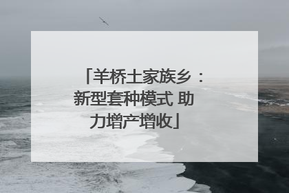 羊桥土家族乡：新型套种模式 助力增产增收