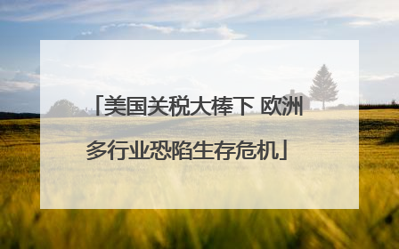美国关税大棒下 欧洲多行业恐陷生存危机