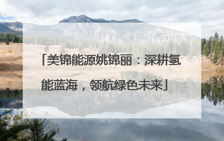 美锦能源姚锦丽：深耕氢能蓝海，领航绿色未来