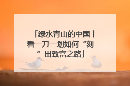 绿水青山的中国丨看一刀一划如何“刻”出致富之路