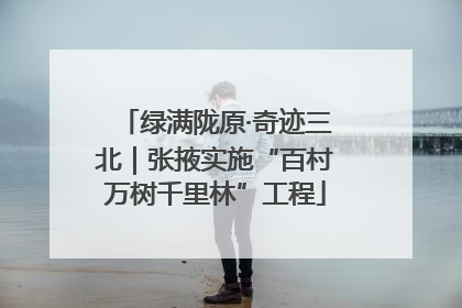 绿满陇原·奇迹三北｜张掖实施“百村万树千里林”工程