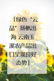绿色“云品”扬帆出海 云南玉溪农产品出口呈现良好态势