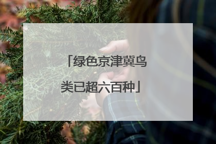 绿色京津冀鸟类已超六百种