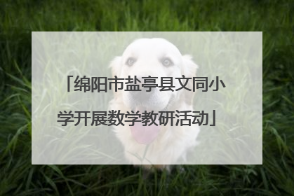 绵阳市盐亭县文同小学开展数学教研活动