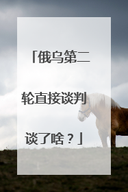 俄乌第二轮直接谈判谈了啥？