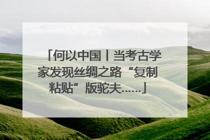何以中国丨当考古学家发现丝绸之路“复制粘贴”版驼夫……