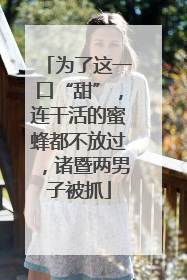为了这一口“甜”，连干活的蜜蜂都不放过，诸暨两男子被抓