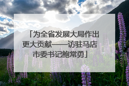 为全省发展大局作出更大贡献——访驻马店市委书记鲍常勇