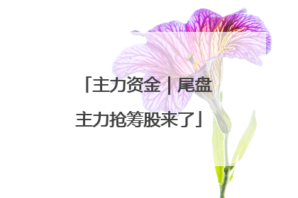 主力资金｜尾盘主力抢筹股来了