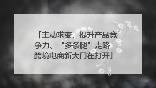 主动求变、提升产品竞争力、“多条腿”走路 跨境电商新大门在打开