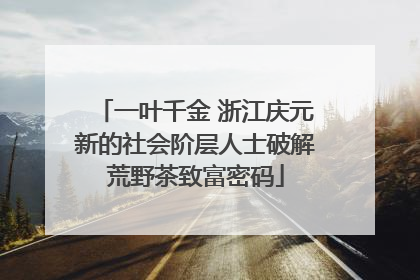 一叶千金 浙江庆元新的社会阶层人士破解荒野茶致富密码