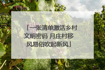 一张清单激活乡村文明密码 月庄村移风易俗吹起新风