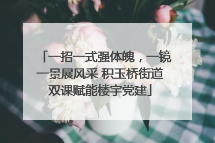 一招一式强体魄，一镜一景展风采 积玉桥街道双课赋能楼宇党建