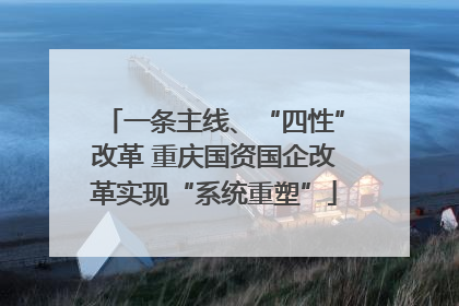 一条主线、“四性”改革 重庆国资国企改革实现“系统重塑”