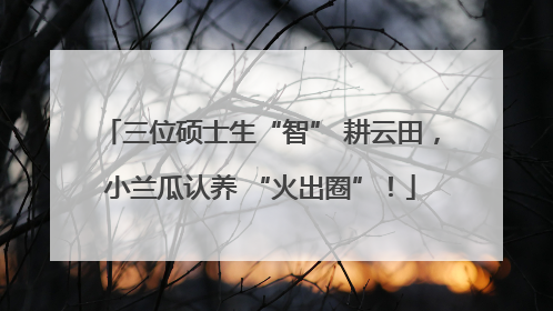 三位硕士生“智” 耕云田，小兰瓜认养 “火出圈”！