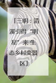 三明：清溪引得“明星”来 生态乡村变景区