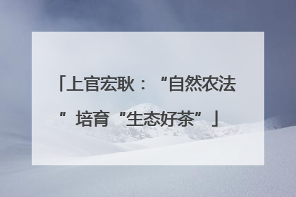 上官宏耿：“自然农法”培育“生态好茶”