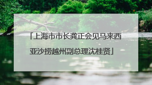 上海市市长龚正会见马来西亚沙捞越州副总理沈桂贤