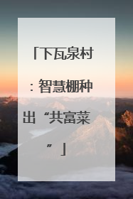 下瓦泉村：智慧棚种出“共富菜”