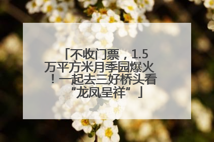 不收门票，1.5万平方米月季园爆火！一起去三好桥头看“龙凤呈祥”