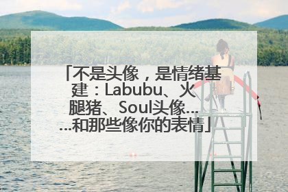 不是头像，是情绪基建：Labubu、火腿猪、Soul头像……和那些像你的表情
