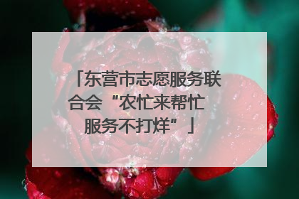 东营市志愿服务联合会“农忙来帮忙 服务不打烊”