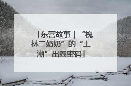 东营故事｜“槐林二奶奶”的“土潮”出圈密码
