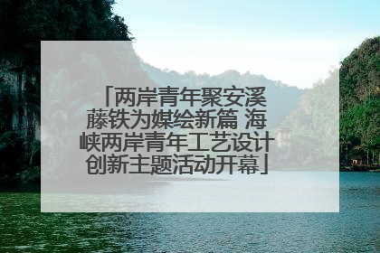 两岸青年聚安溪 藤铁为媒绘新篇 海峡两岸青年工艺设计创新主题活动开幕