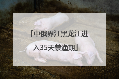 中俄界江黑龙江进入35天禁渔期