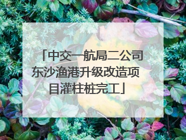 中交一航局二公司东沙渔港升级改造项目灌柱桩完工